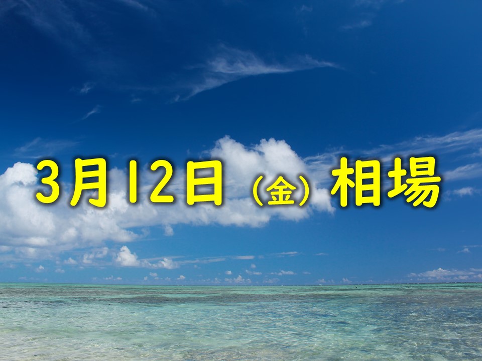 投資力アップしたいならコレを読もう 厳選書籍3選 ファンダメンタル編 ミチblog 道 投資 資格 副業 トレンド 旅行